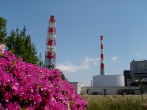 東北電力株式会社 新潟火力発電所 新潟市 にいがた市民による環境大作戦 エコやろてば